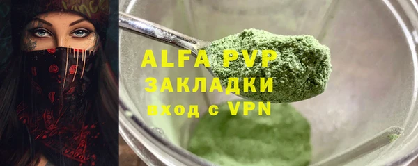 ГАЛЛЮЦИНОГЕННЫЕ ГРИБЫ Осинники
