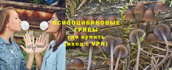 ГАЛЛЮЦИНОГЕННЫЕ ГРИБЫ Осинники