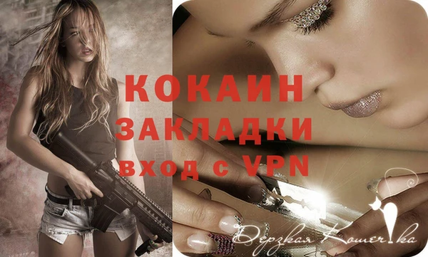 ГАЛЛЮЦИНОГЕННЫЕ ГРИБЫ Осинники