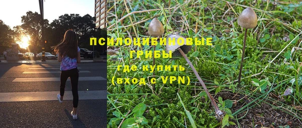 ГАЛЛЮЦИНОГЕННЫЕ ГРИБЫ Осинники