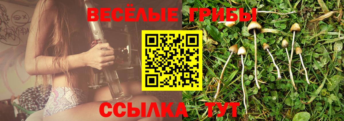 Галлюциногенные грибы мицелий Екатеринбург